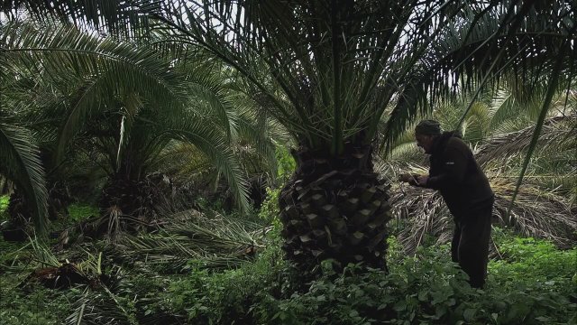 Çevreyolu (2013) Fragman