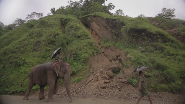 Mahout: The Great Elephant Walk (2013) fragmanı