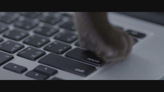 Cat a Webb (2015) Fragman