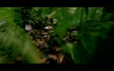 Anacondas: The Hunt for the Blood Orchid 2. Fragmanı